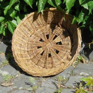 Schale mit außergewöhnlichem Boden aus grüner ungeschälter Weide