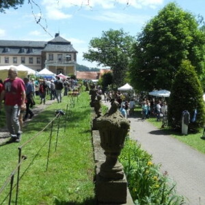 2013 - Johannimarkt Stockhausen