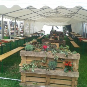 Mittelalterfest Birkenhof 13.9.2015 - Hoffest Birkenhof