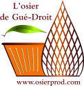 L'osier de gue-droit