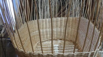 Baby basket for bassinet in progress