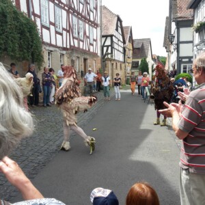 Altstadt Pur - Stolzer Hahn 20180617_115322