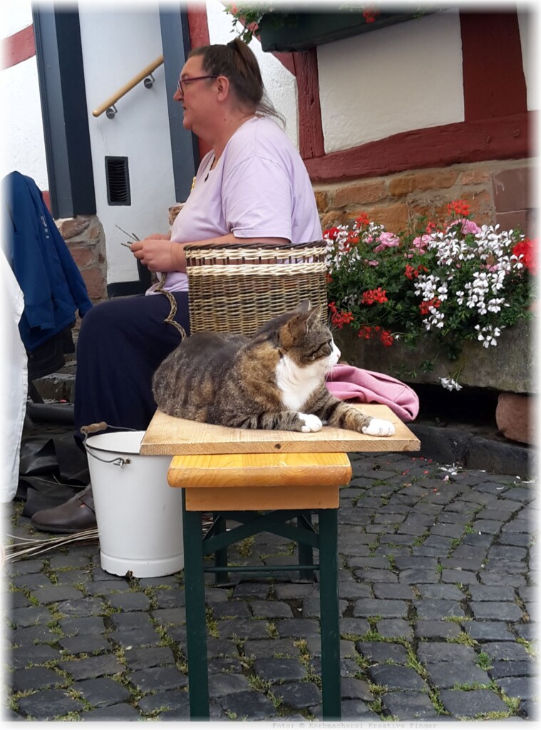 Altstadt Pur - Flechtvorführung und Katze schaut interessiert zu