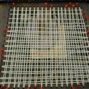 WPDSCN3355-e1485502087366