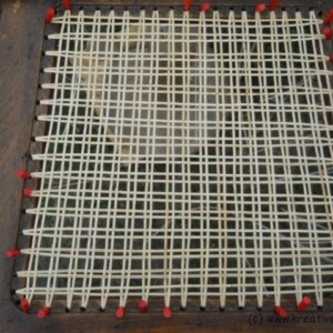 WPDSCN3357-e1485502081304