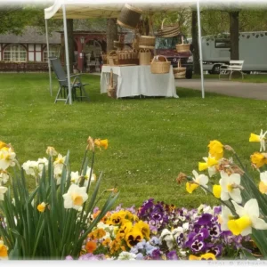 Bauernmarkt Bad Salzhausen