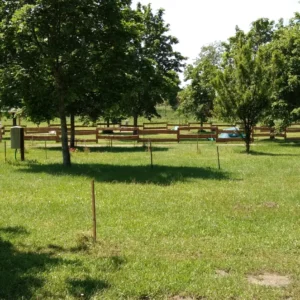Camping l'île aux mille charmes Großzügige Stellplätze und mittendrin der Zeltplatz
