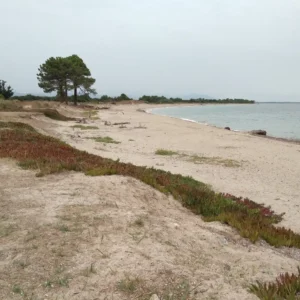 Strand in der Nähe von Travo