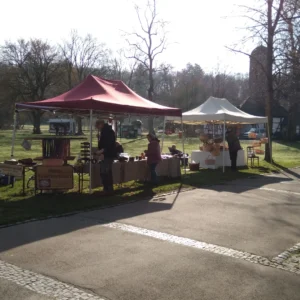 Vorbereitungen für den Bauernmarkt März 2024 in Bad Salzhausen im unteren Kurpark