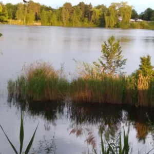 Seecamping Mainflingen - Badesee