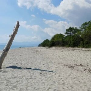 Sandstrand von