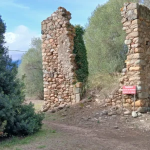 Pistazienbaum und Ruine