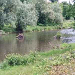 Die Mosel plätschert am Campingplatz in Charmes vorbei.