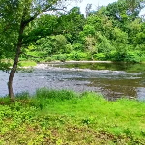 Die Mosel plätschert am Campingplatz in Charmes vorbei.