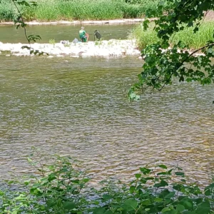 Angler sitzt in/an der Mosel in Charmes (F)