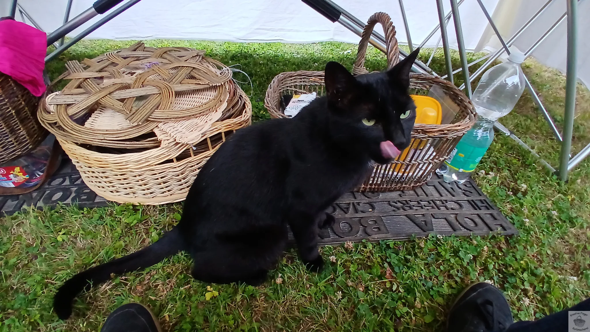 Eine schwarze Katze sitzt auf einer Wiese im Schatten und leckt sich mit der Zunge über das Maul, im Hintergrund stehen geflochtene Körbe.